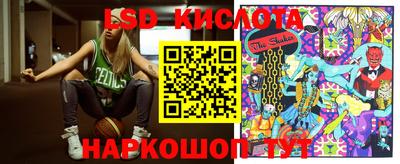 молекула духа Новозыбков