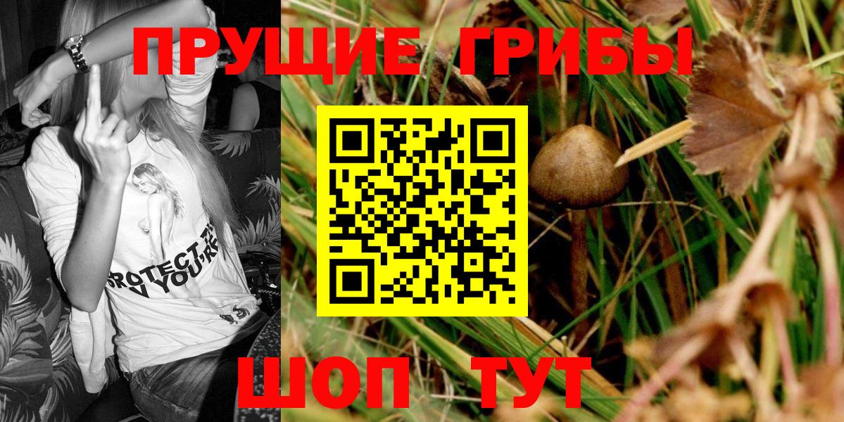 Галлюциногенные грибы ЛСД Элиста