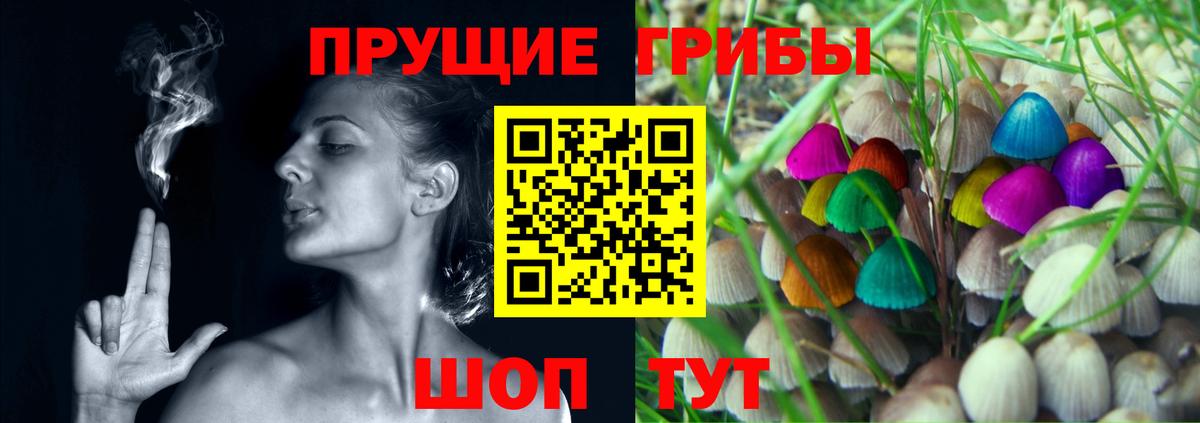 Элиста  даркнет сайт  Вход с VPN  Галлюциногенные грибы MAGIC MUSHROOMS 